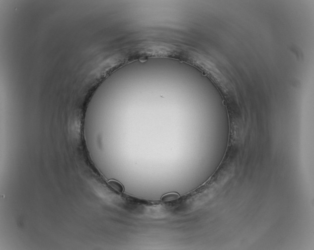 X0000111370309200907101217