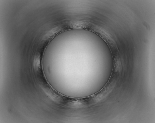 X0000111370310200907101217