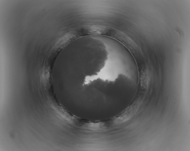 X0000111370314200907101217
