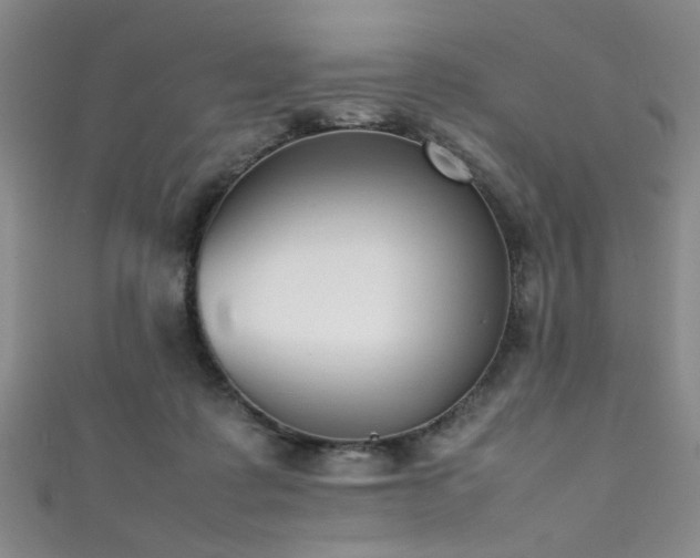 X0000111370315200907101217