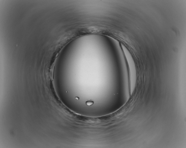 X0000111370317200907101217
