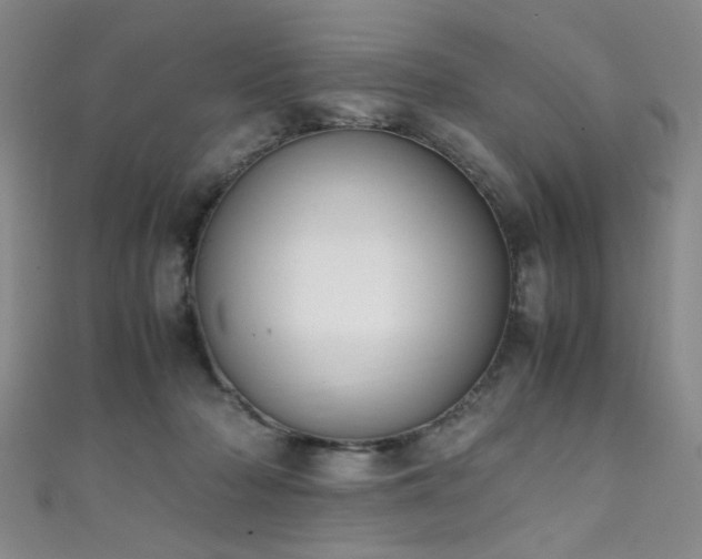 X0000111370318200907101217
