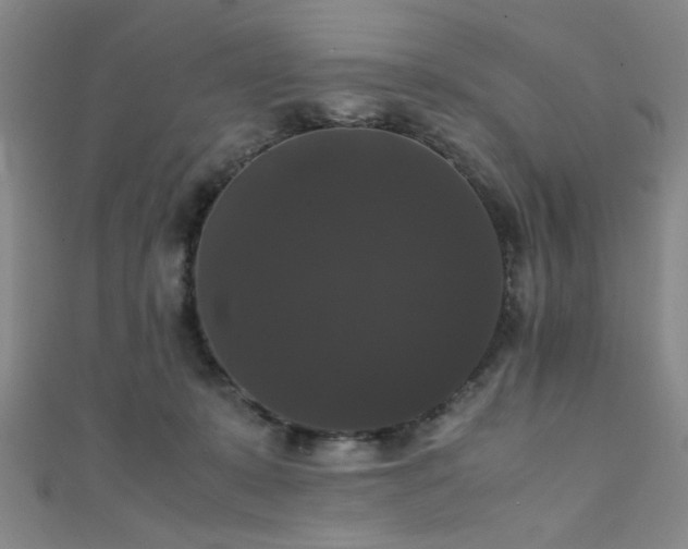 X0000111370319200907101216