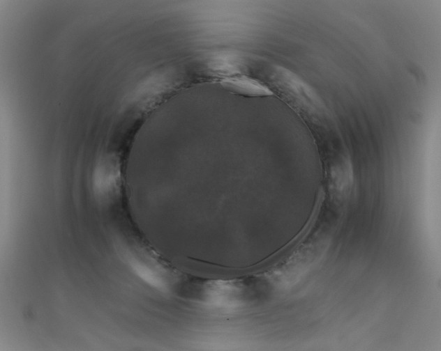X0000111370320200907101216