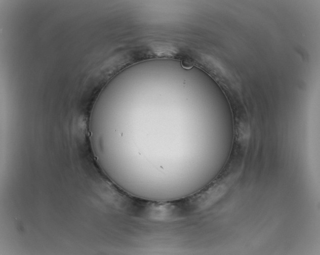 X0000111370321200907101216