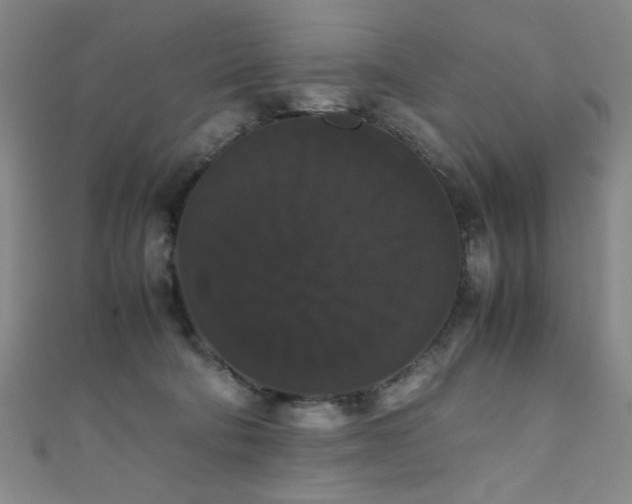 X0000111370322200907101216