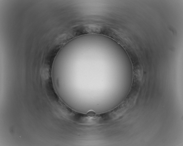 X0000111370323200907101216