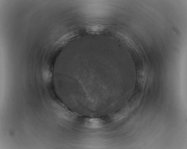 X0000111370324200907101216