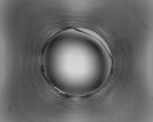 X0000111370325200907101216