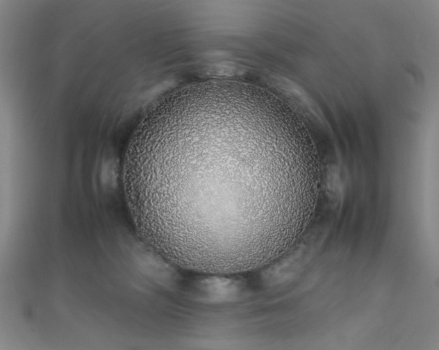X0000111370326200907101216