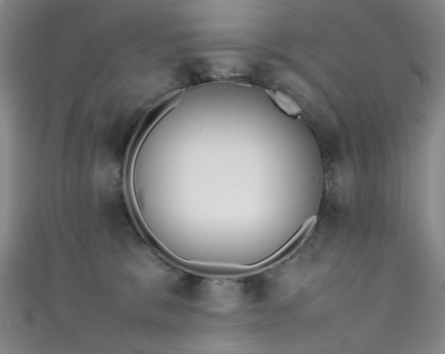 X0000111370327200907101216
