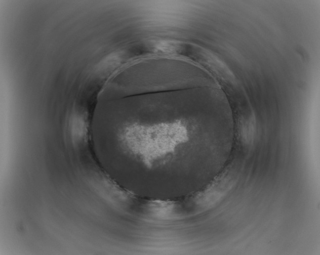 X0000111370328200907101216