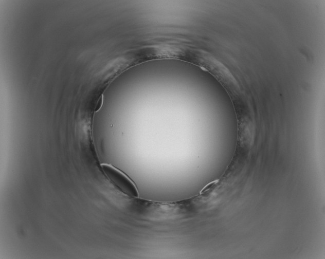 X0000111370329200907101216