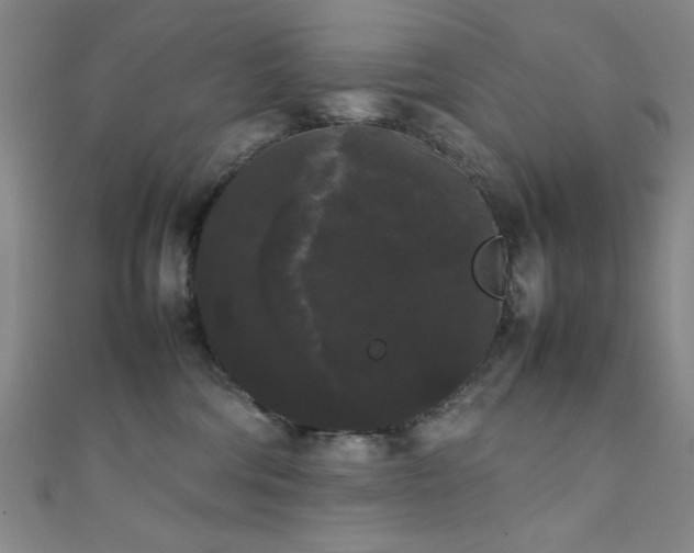 X0000111370330200907101216