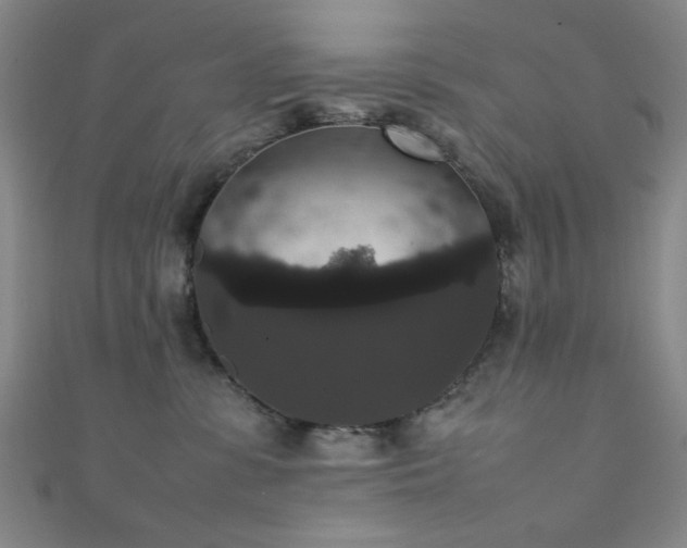 X0000111370331200907101216