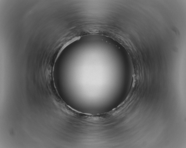 X0000111370332200907101216