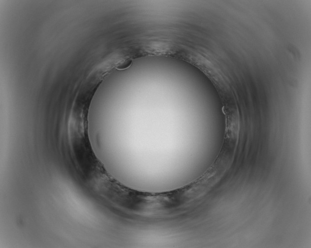 X0000111370334200907101216