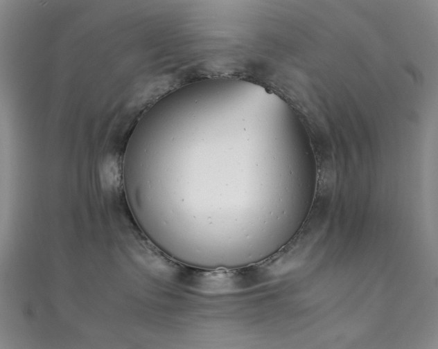 X0000111370335200907101216