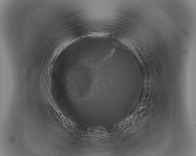 X0000111370337200907101216