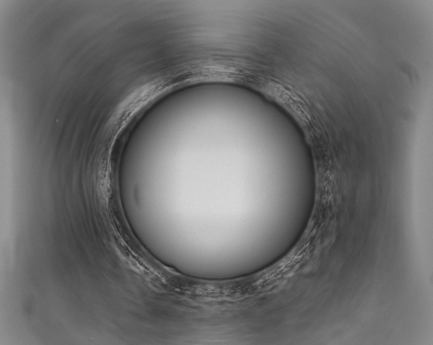 X0000111370338200907101216