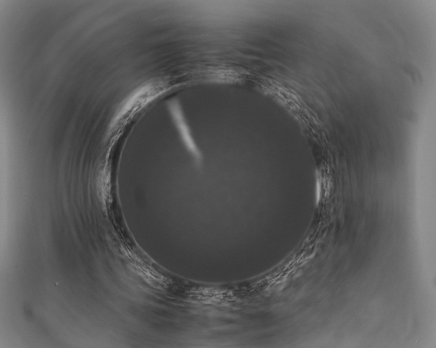 X0000111370339200907101216