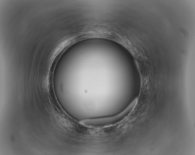 X0000111370340200907101216