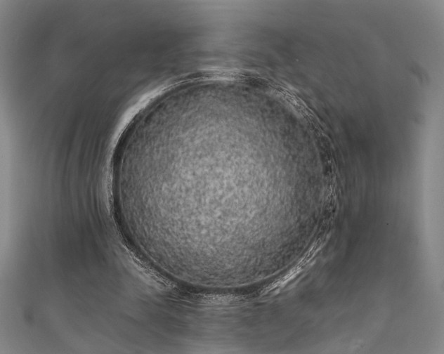 X0000111370342200907101216