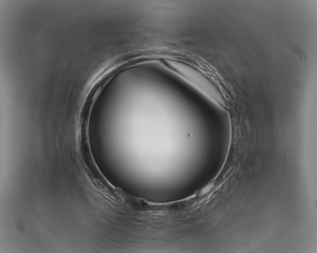X0000111370344200907101216