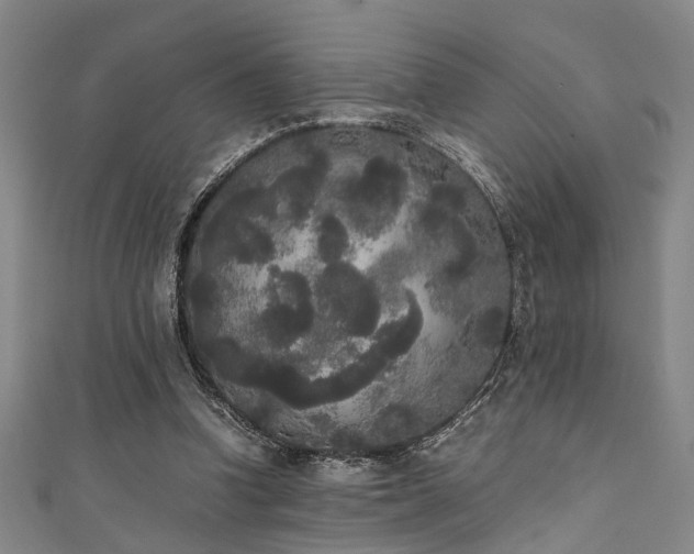 X0000111370346200907101216