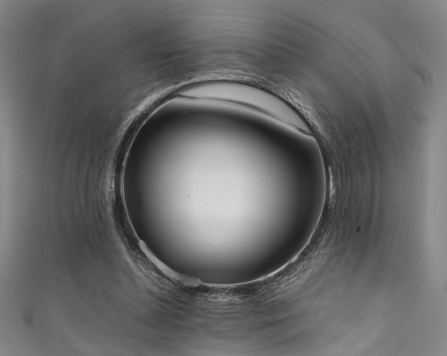 X0000111370348200907101216