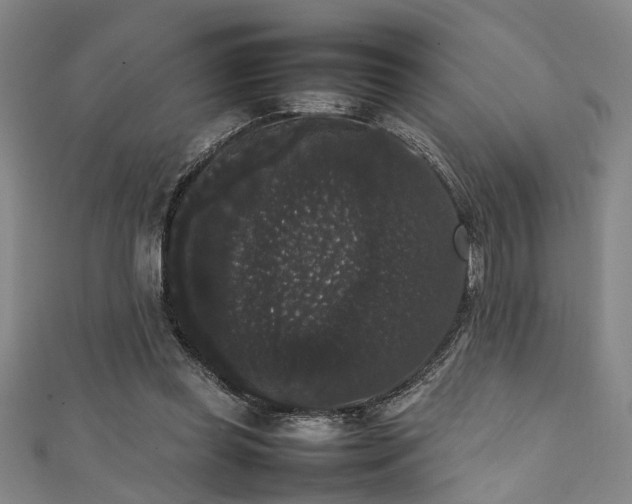 X0000111370349200907101216