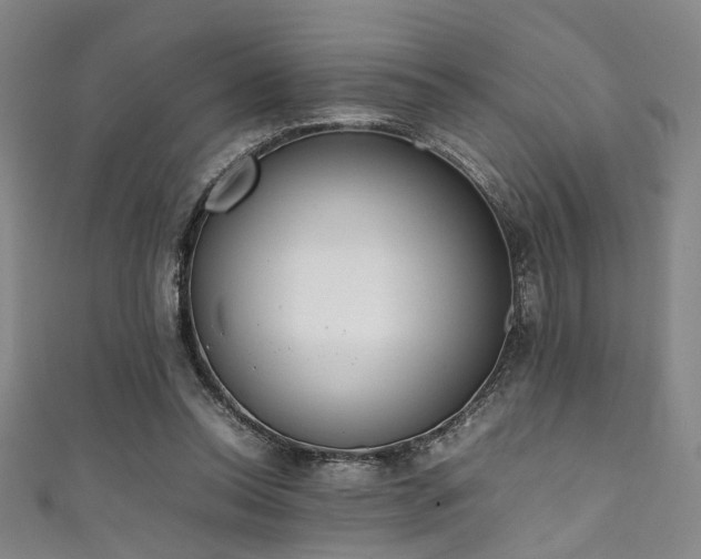 X0000111370350200907101216
