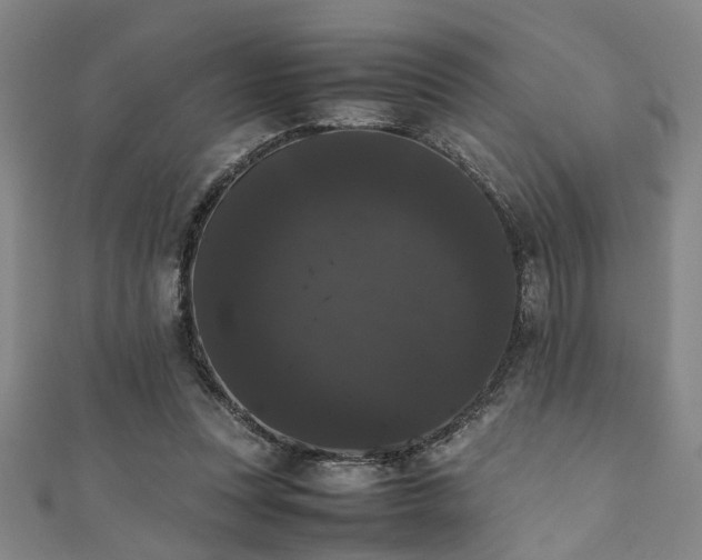 X0000111370351200907101216