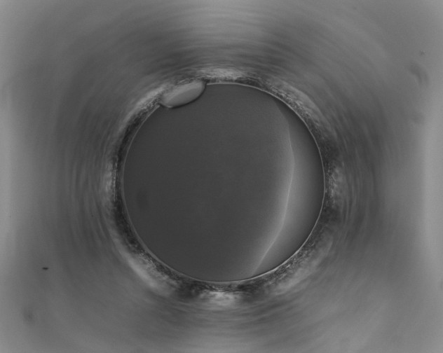 X0000111370352200907101216