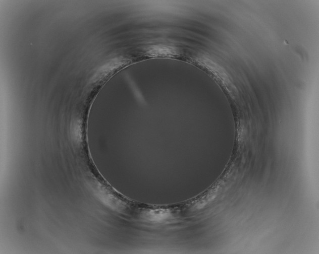 X0000111370353200907101216