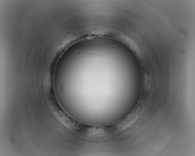 X0000111370354200907101216