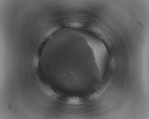 X0000111370355200907101216