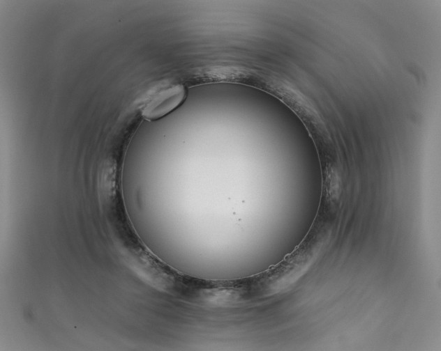 X0000111370356200907101216