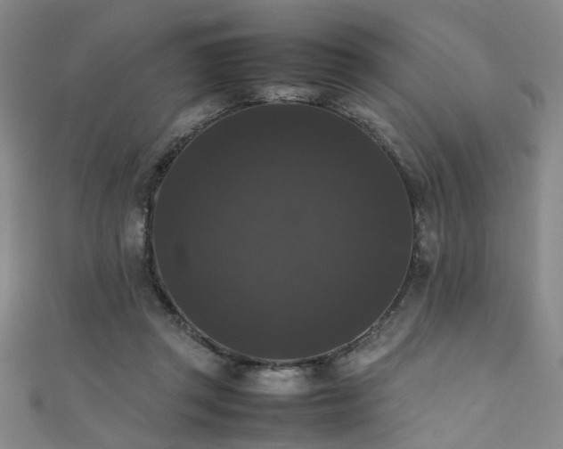 X0000111370357200907101216
