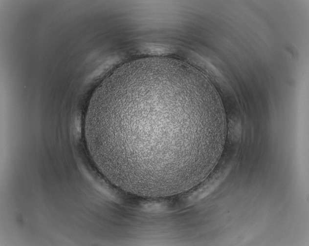 X0000111370358200907101216