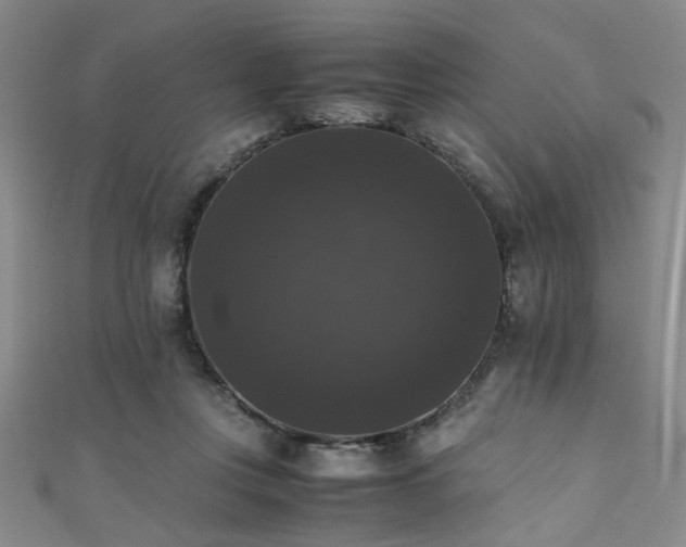 X0000111370359200907101216