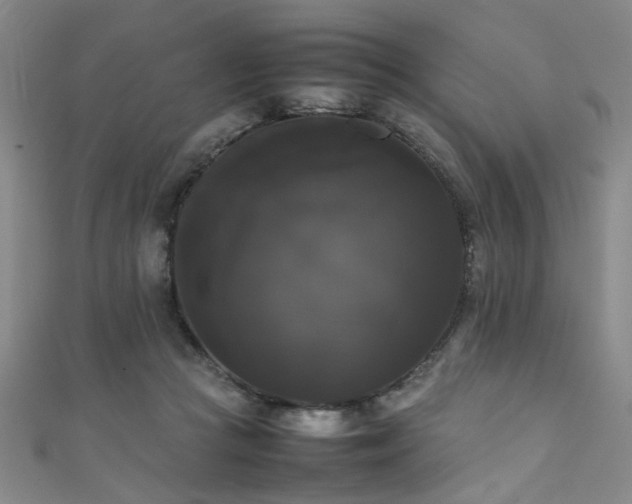 X0000111370361200907101216