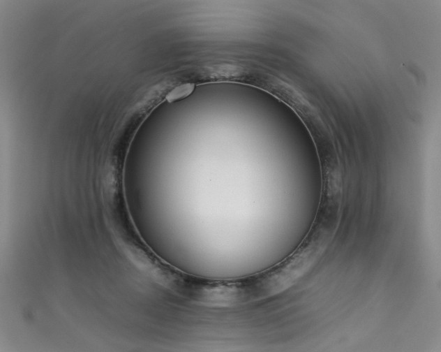 X0000111370362200907101216