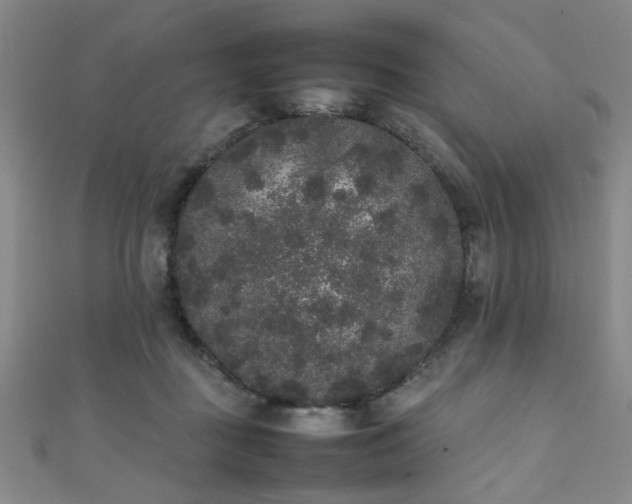 X0000111370363200907101216