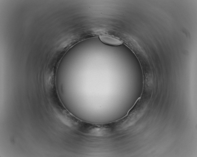 X0000111370364200907101216