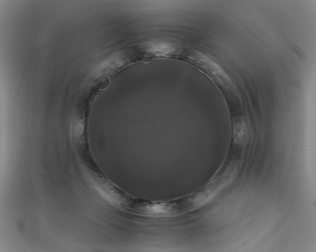 X0000111370365200907101216