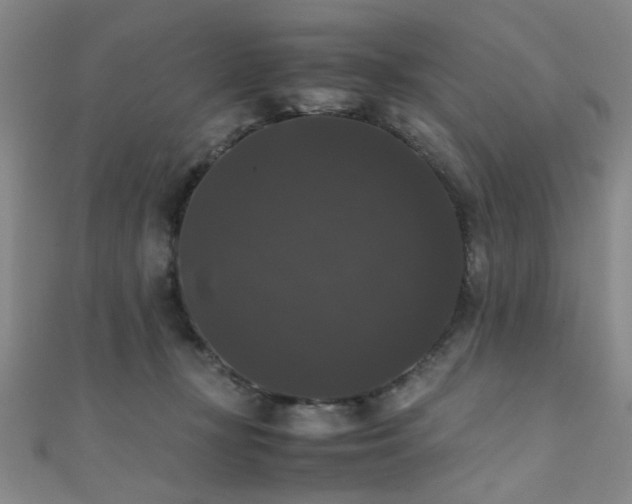 X0000111370367200907101216