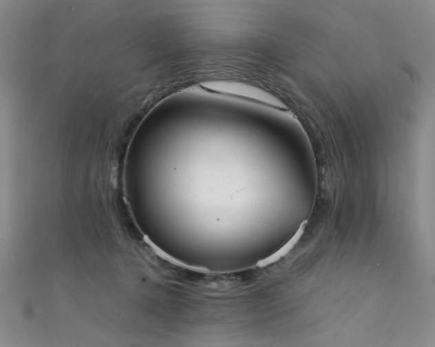 X0000111370368200907101216