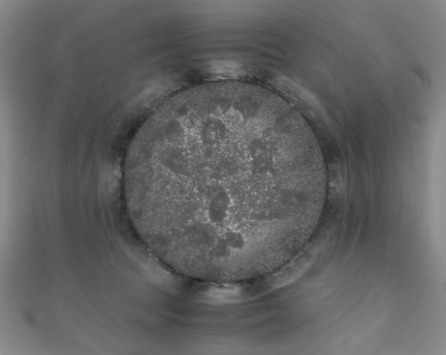 X0000111370369200907101216