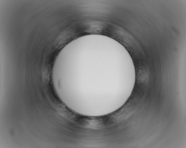 X0000111370370200907101216